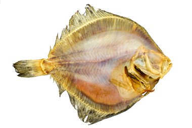 Salted turbot flatfish clipart