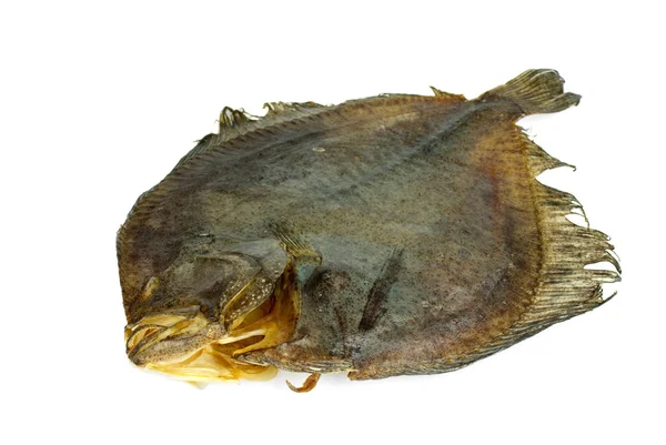 Pesce piatto di rombo chiodato salato — Foto Stock