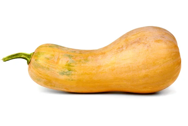 Zucca calabrese — Foto Stock