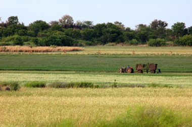 African Farm clipart