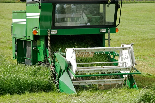 Cutting hay — Stock Photo, Image