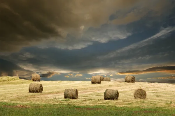 ภูมิทัศน์ฟาร์ม — ภาพถ่ายสต็อก