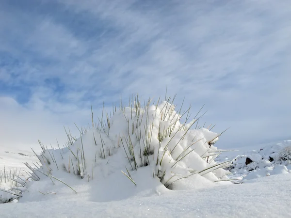 Snow krajina — Stock fotografie