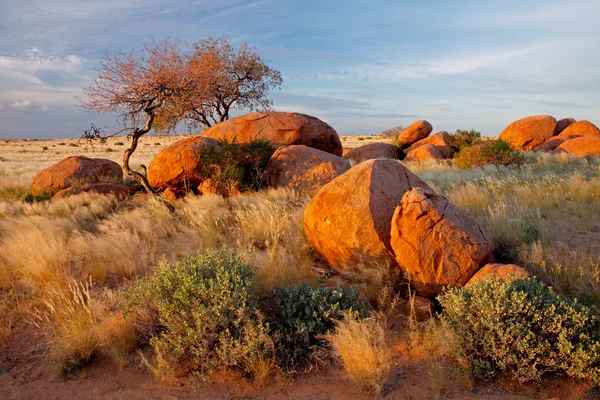 Granite boulders and trees — Stockfoto