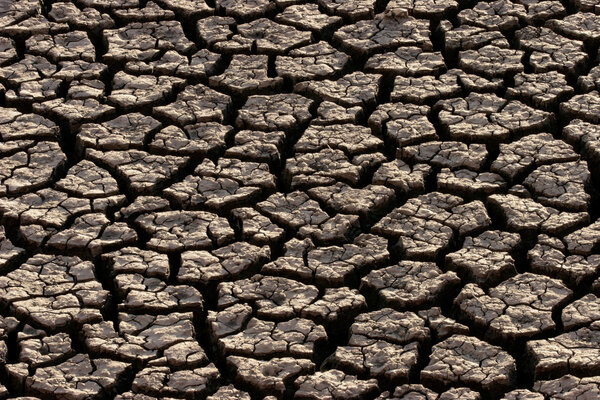 Сушёная земля
