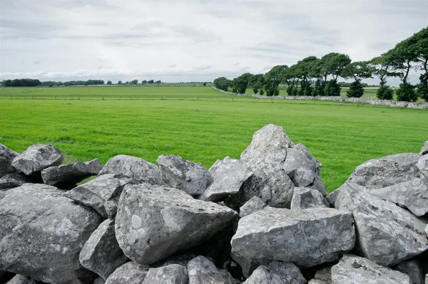 stock image Rural Ireland