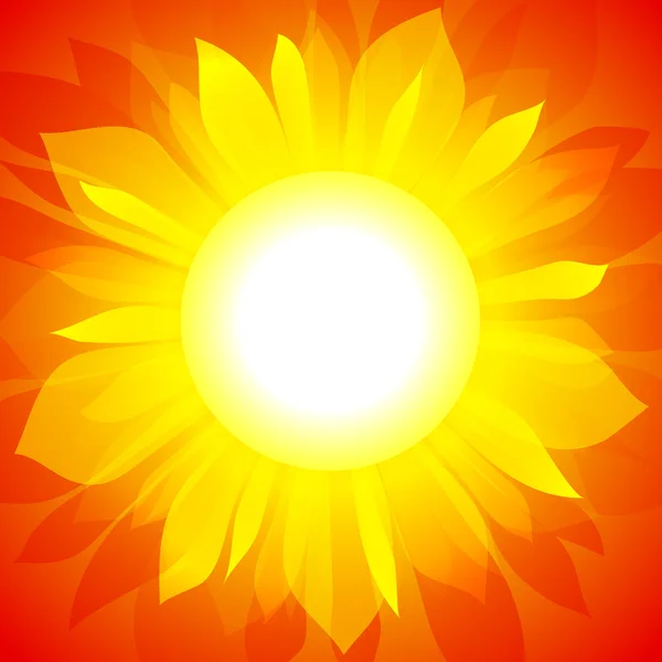 Sonnenblumen-Vektor Hintergrund — Stockvektor