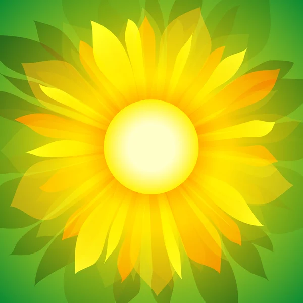 Sunflower on green (vector background) — Stock Vector