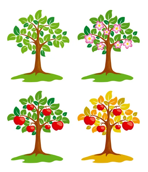 Apfelbaum zu verschiedenen Jahreszeiten — Stockvektor