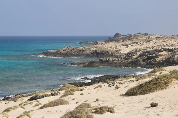 Linia de coastă pe Ferteventura — Fotografie, imagine de stoc