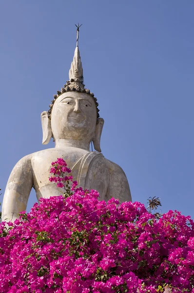 Big buddha heykeli — Stok fotoğraf