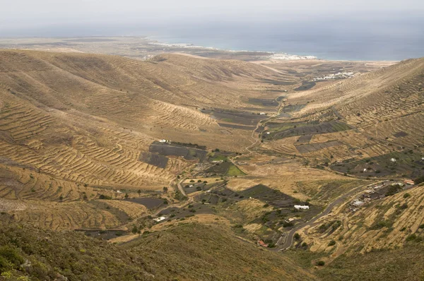 Landscape. Canary Islands — Stock Photo, Image