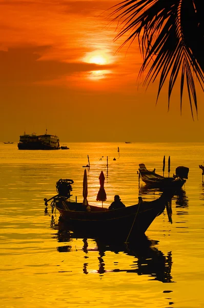 Tramonto con palma e barche sulla spiaggia tropicale — Foto Stock