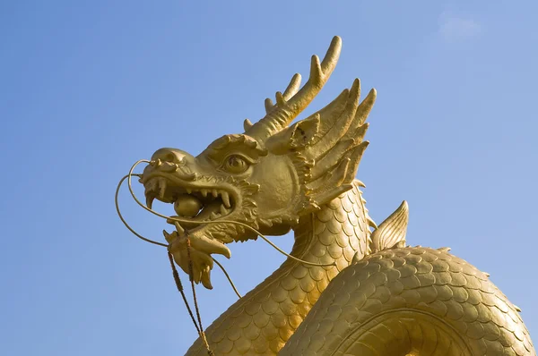 Golden dragon over blue sky — Stock Photo, Image
