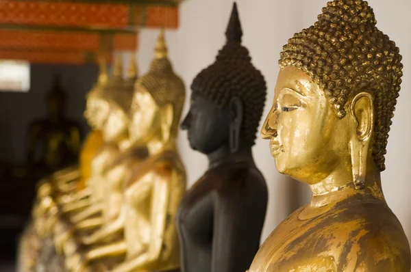 Muchos buddhas en Tailandia — Foto de Stock