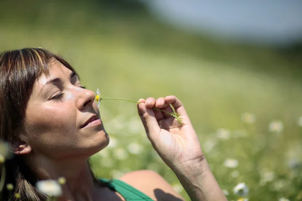 Літо. Жінка на лузі пахне ромашковою квіткою . — стокове фото