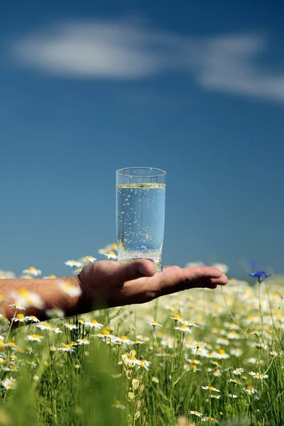 stock image Water in glass