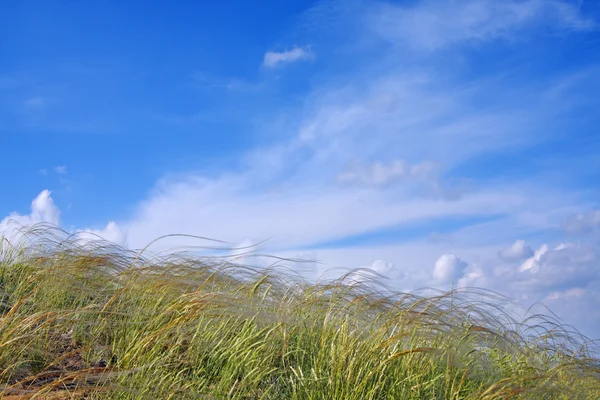 stock image Heavenly landscape