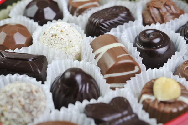 Chocolate y praliné — Foto de Stock