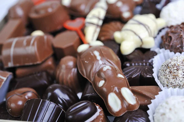 Chocolate e pralina — Fotografia de Stock