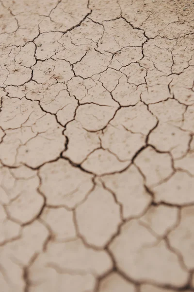 사막의 질감 — 스톡 사진