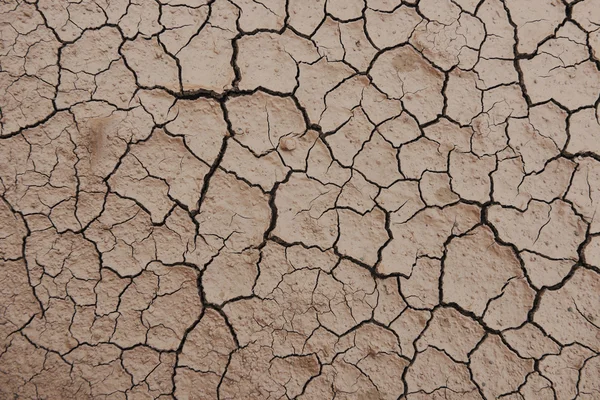 Textura do deserto — Fotografia de Stock