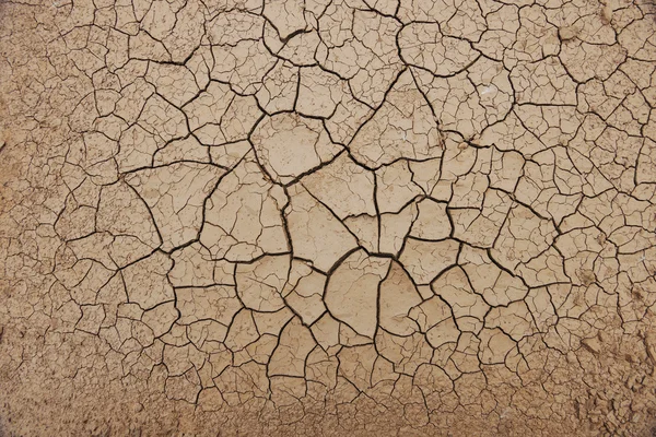 Textura del desierto — Foto de Stock