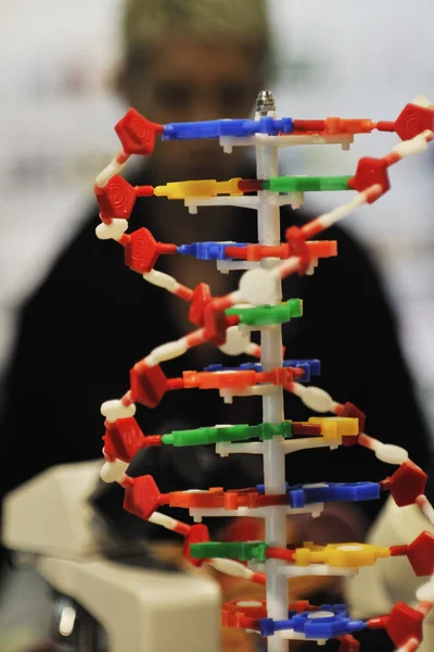 stock image Dna chain spiral