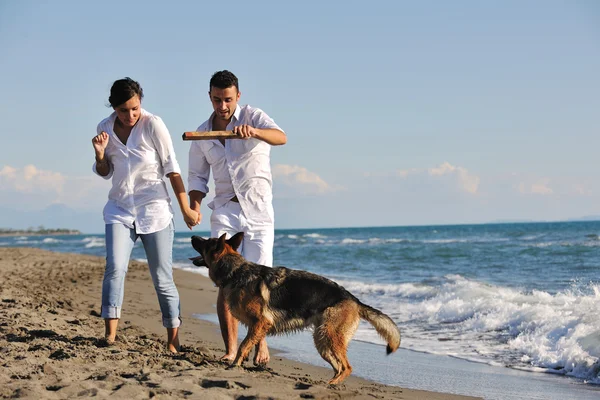 Onnellinen perhe leikkii koiran kanssa rannalla — kuvapankkivalokuva
