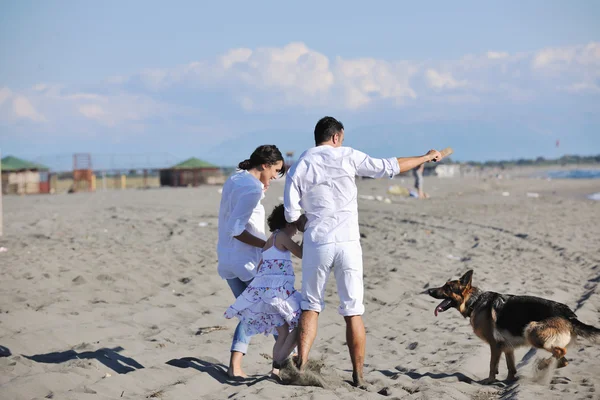 Счастливая семья, играющая с собакой на пляже — стоковое фото