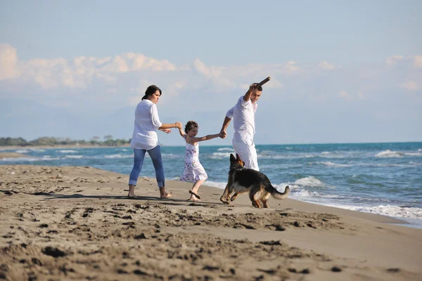 Mutlu bir aile sahilde köpekle oynuyor. — Stok fotoğraf