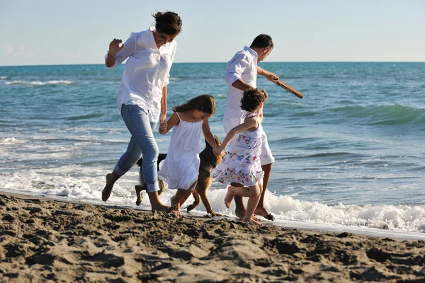 Mutlu bir aile sahilde köpekle oynuyor. — Stok fotoğraf