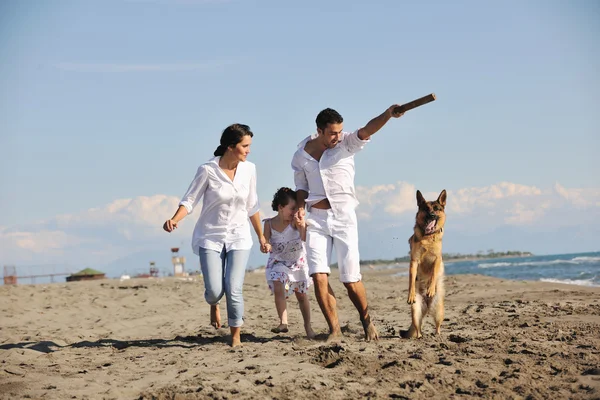 Lycklig familj leker med hunden på stranden — Stockfoto