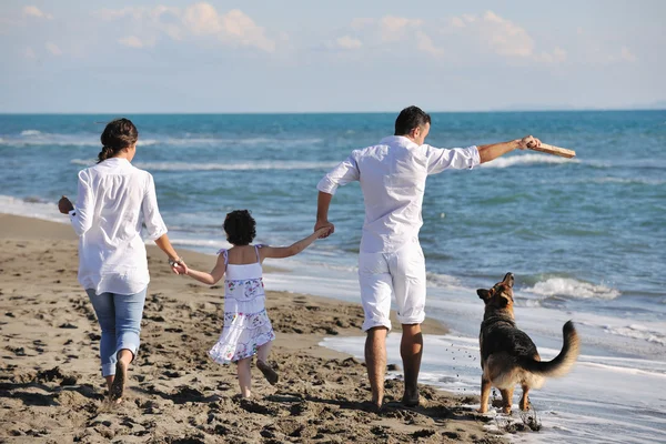 Ευτυχισμένη οικογένεια παίζει με το σκυλί στην παραλία — Φωτογραφία Αρχείου