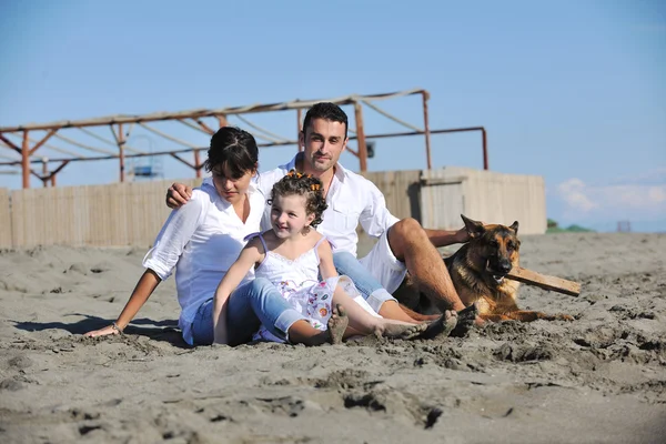 해변에서 개 랑노는 행복 한 가족 — 스톡 사진