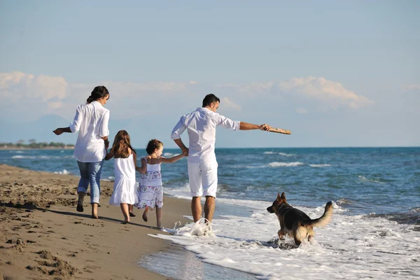 Mutlu bir aile sahilde köpekle oynuyor. Telifsiz Stok Imajlar