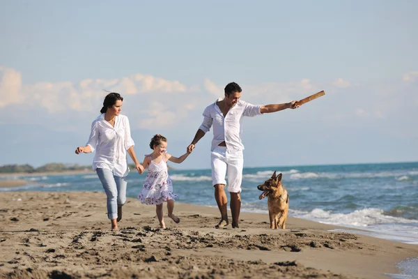 Gelukkig familie spelen met hond op het strand Stockfoto