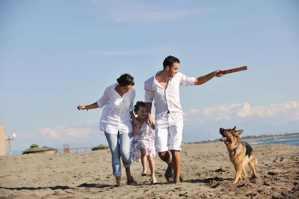 Mutlu bir aile sahilde köpekle oynuyor. Stok Fotoğraf