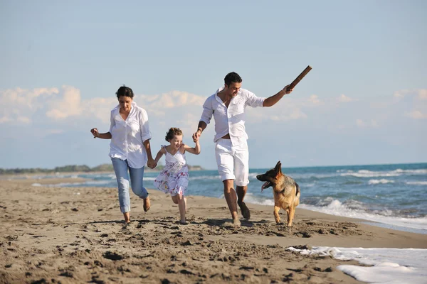 Familia feliz jugando con el perro en la playa Imagen de stock
