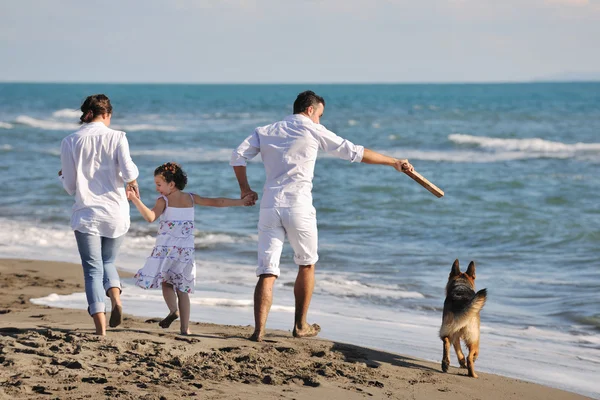 Familia feliz jugando con el perro en la playa Imágenes de stock libres de derechos