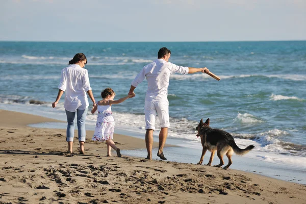 Lycklig familj leker med hunden på stranden Royaltyfria Stockbilder
