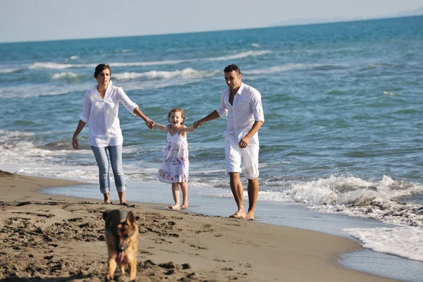 Щаслива сім'я грає з собакою на пляжі — стокове фото