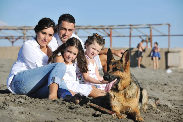 Щаслива сім'я грає з собакою на пляжі — стокове фото