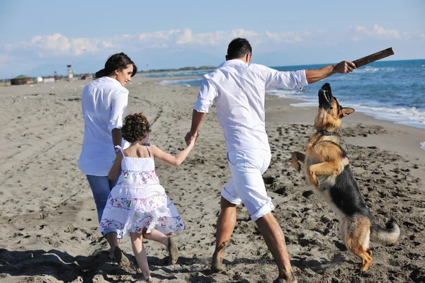 Famiglia felice giocare con il cane sulla spiaggia — Foto Stock