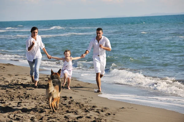 Lycklig familj leker med hunden på stranden Royaltyfria Stockfoton