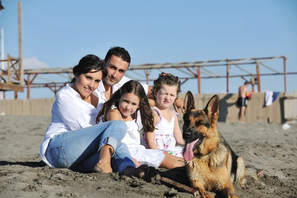 快乐的家庭在海滩上与狗玩耍 — 图库照片