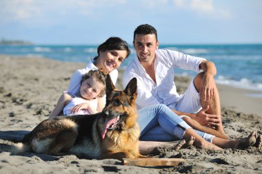 Happy family playing with dog on beach clipart