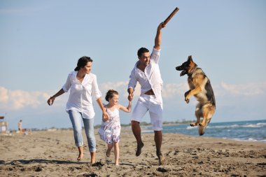 Happy family playing with dog on beach clipart