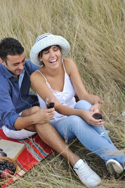 Happy couple enjoying countryside picnic in long grass — Stock Photo, Image