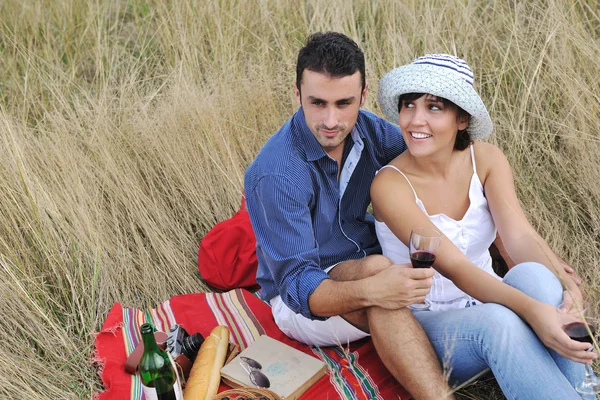 Feliz pareja disfrutando de campo picnic en hierba larga —  Fotos de Stock